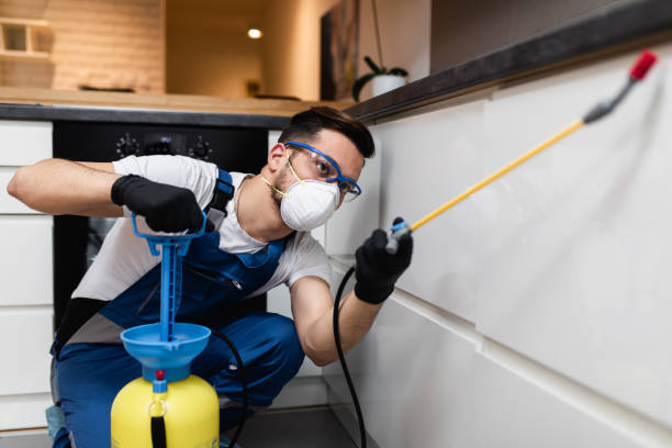 Best Ant Control Services  in Wesson, MS