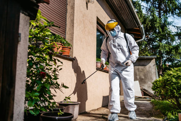 Best Insect Control  in Wesson, MS