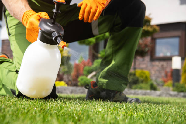 Best Pest Control Near Me in Wesson, MS