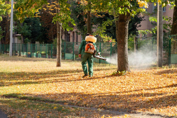 Best Wildlife Control Services  in Wesson, MS