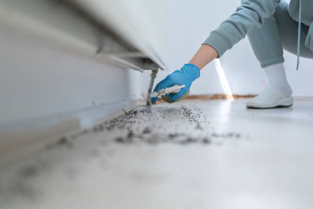 Pest Prevention Services in Wesson, MS