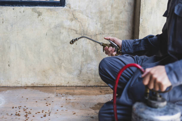 Best Best Pest Control Near Me  in Wesson, MS